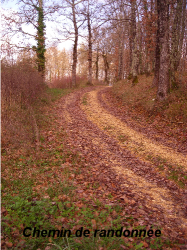 chemin-de-randonnee-2.png