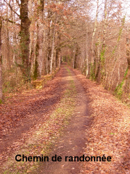 chemin-de-randonnee.png