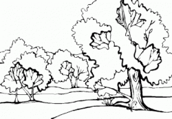 paysage-d-une-plaine-avec-de-grands-arbres_4a.gif